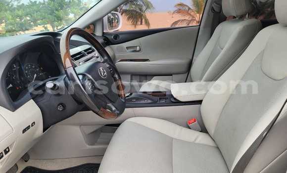 Sayi Sabo Lexus RX 350 White Mota in Cotonou a Benin Sayi Sabo Lexus RX 350 White Mota in Cotonou a Benin