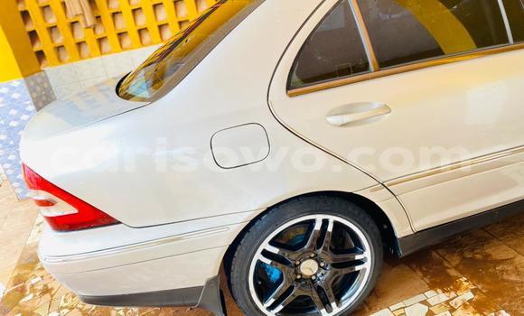 Sayi Na hannu Mercedes Viano White Mota in Cotonou a Benin Sayi Na hannu Mercedes Viano White Mota in Cotonou a Benin