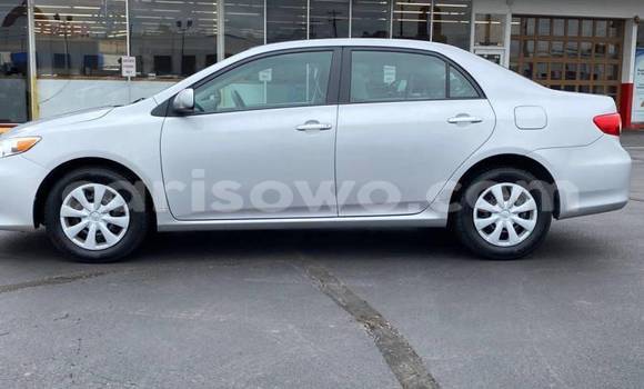 Acheter Import Voiture Toyota Corolla Gris à Cotonou, Benin Acheter Import Voiture Toyota Corolla Gris à Cotonou, Benin