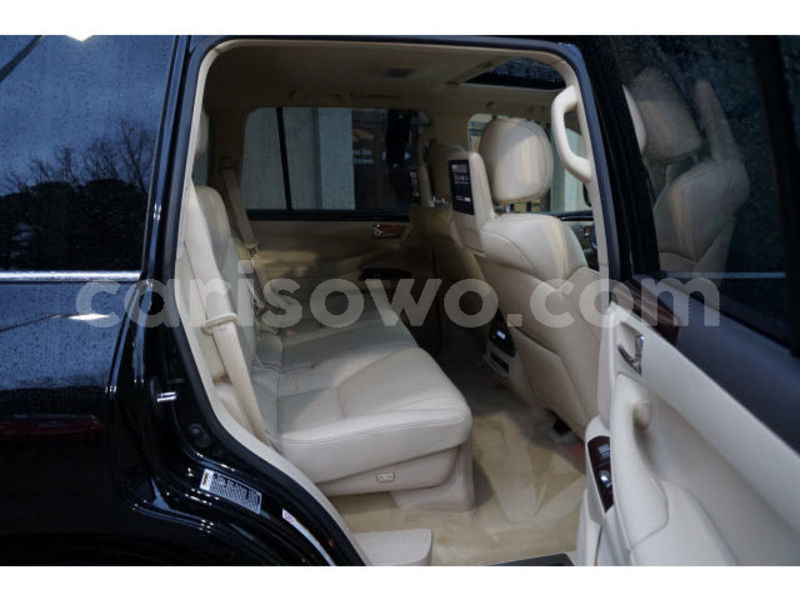 Big with watermark interp2