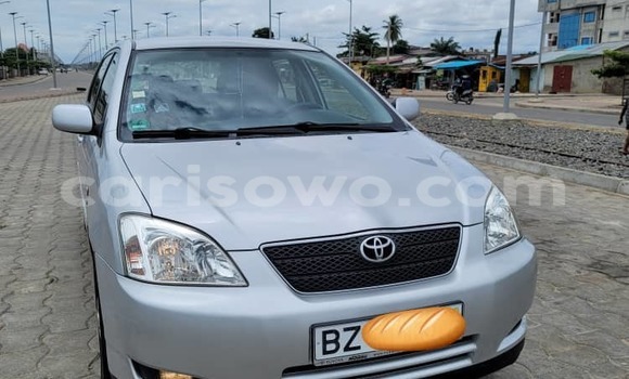 Acheter Occasion Voiture Toyota Corolla Gris à Cotonou, Benin