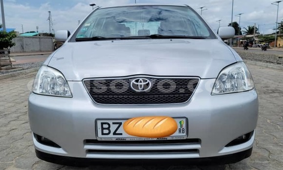 Acheter Occasion Voiture Toyota Corolla Gris à Cotonou, Benin Acheter Occasion Voiture Toyota Corolla Gris à Cotonou, Benin