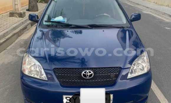 Buy Used Toyota Corolla Blue Car in Cotonou in Benign