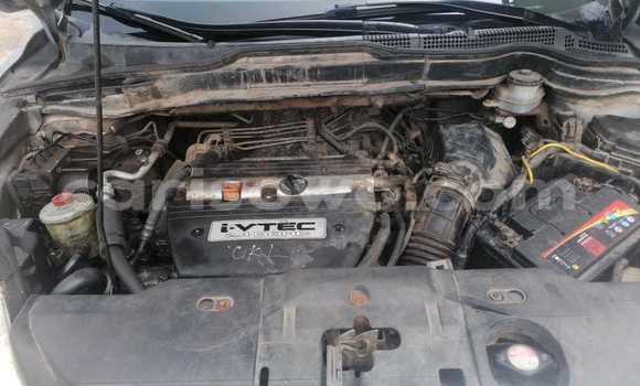 Ra Àlòkù Honda CR–V Blue Ọkọ̀ in Cotonou ni Benin Ra Àlòkù Honda CR–V Blue Ọkọ̀ in Cotonou ni Benin