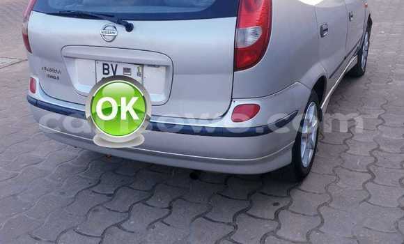 Ra Àlòkù Nissan Almera Tino Silver Ọkọ̀ in Cotonou ni Benin