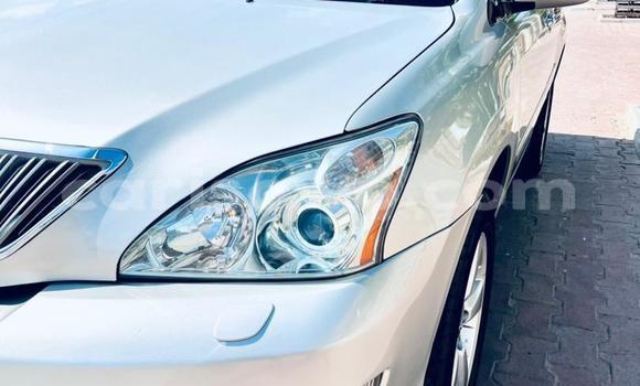 Buy Used Lexus RX 330 Silver Car in Cotonou in Benign