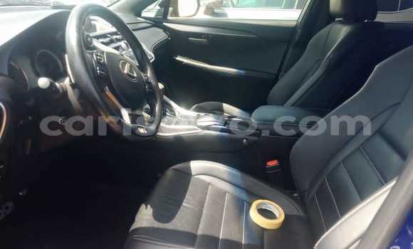 Acheter Import Voiture Lexus NX Bleu à Cotonou, Benin Acheter Import Voiture Lexus NX Bleu à Cotonou, Benin