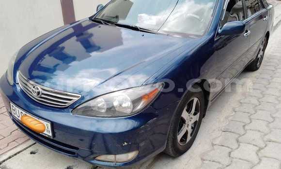 Acheter Occasion Voiture Toyota Camry Bleu à Cotonou, Benin
