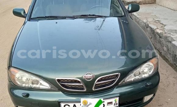 Ra Àlòkù Nissan Primera Alawọ ewe Ọkọ̀ in Cotonou ni Benin