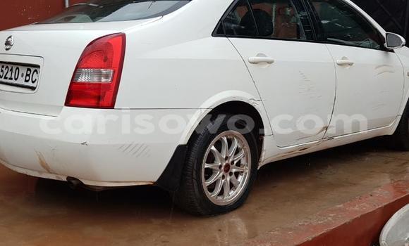 Acheter Occasion Voiture Nissan Primera Blanc à Abomey Calavi, Benin