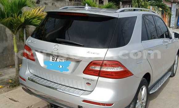 Sayi Na hannu Mercedes Viano Azurfa Mota in Cotonou a Benin Sayi Na hannu Mercedes Viano Azurfa Mota in Cotonou a Benin