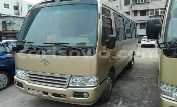 Acheter Occasion Utilitaire Toyota Coaster Beige à Cotonou au Benin Acheter Occasion Utilitaire Toyota Coaster Beige à Cotonou au Benin