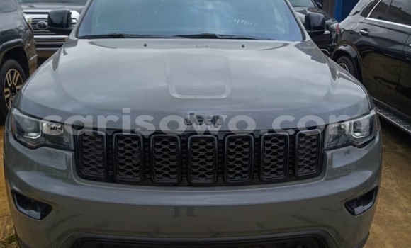 Acheter Occasion Voiture Jeep Grand Cherokee Gris à Cotonou, Benin
