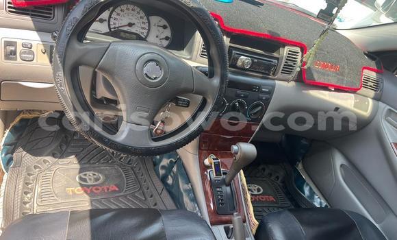 Ra Àlòkù Toyota Corolla Blue Ọkọ̀ in Cotonou ni Benin Ra Àlòkù Toyota Corolla Blue Ọkọ̀ in Cotonou ni Benin