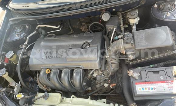 Ra Àlòkù Toyota Corolla Blue Ọkọ̀ in Cotonou ni Benin Ra Àlòkù Toyota Corolla Blue Ọkọ̀ in Cotonou ni Benin