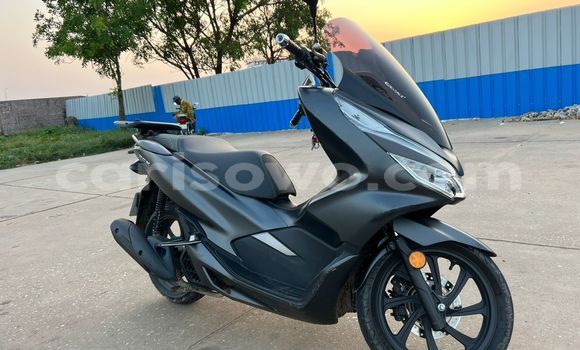 Acheter Occasion Moto Honda PCX Gris à Abomey Calavi, Benin Acheter Occasion Moto Honda PCX Gris à Abomey Calavi, Benin