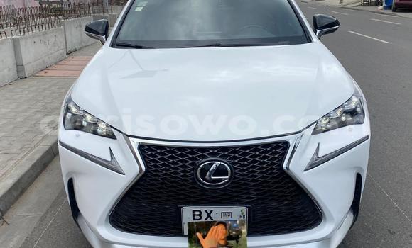 Sayi Na hannu Lexus NX White Mota in Abomey Calavi a Benin