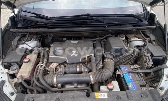 Acheter Occasion Voiture Lexus NX Blanc à Abomey Calavi, Benin Acheter Occasion Voiture Lexus NX Blanc à Abomey Calavi, Benin