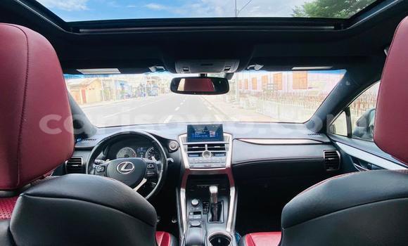 Acheter Occasion Voiture Lexus NX Blanc à Abomey Calavi, Benin Acheter Occasion Voiture Lexus NX Blanc à Abomey Calavi, Benin