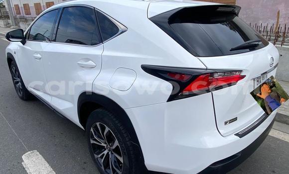 Acheter Occasion Voiture Lexus NX Blanc à Abomey Calavi, Benin Acheter Occasion Voiture Lexus NX Blanc à Abomey Calavi, Benin