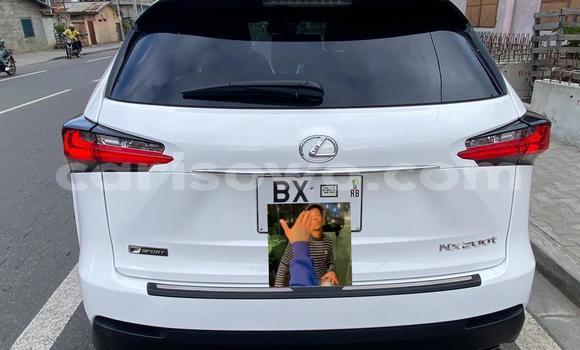 Acheter Occasion Voiture Lexus NX Blanc à Abomey Calavi, Benin Acheter Occasion Voiture Lexus NX Blanc à Abomey Calavi, Benin
