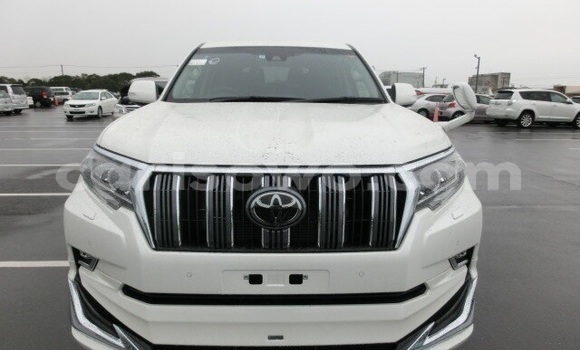 Sayi Na hannu Toyota Land Cruiser Prado White Mota in Natitingou a Benin