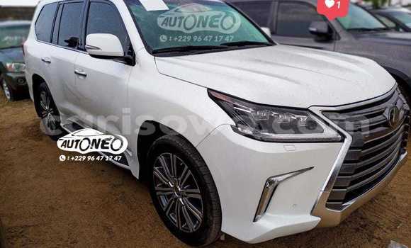 Sayi Na hannu Lexus LX 570 White Mota in Cotonou a Benin