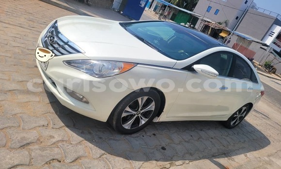 Sayi Na hannu Hyundai Sonata White Mota in Cotonou a Benin Sayi Na hannu Hyundai Sonata White Mota in Cotonou a Benin