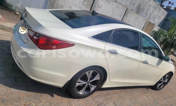 Sayi Na hannu Hyundai Sonata White Mota in Cotonou a Benin Sayi Na hannu Hyundai Sonata White Mota in Cotonou a Benin