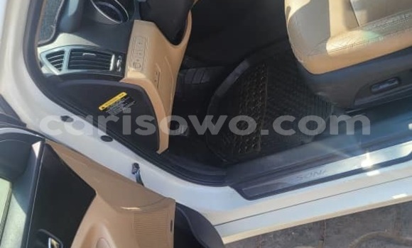 Sayi Na hannu Hyundai Sonata White Mota in Cotonou a Benin Sayi Na hannu Hyundai Sonata White Mota in Cotonou a Benin