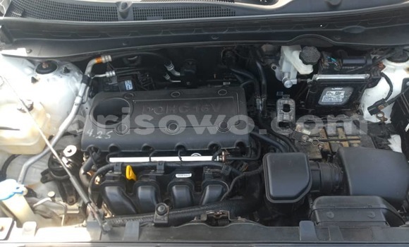 Acheter Occasion Voiture Kia Sportage Blanc à Cotonou, Benin Acheter Occasion Voiture Kia Sportage Blanc à Cotonou, Benin