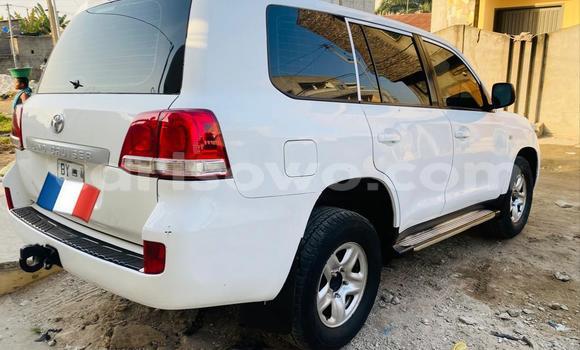 Sayi Na hannu Toyota Land Cruiser White Mota in Cotonou a Benin Sayi Na hannu Toyota Land Cruiser White Mota in Cotonou a Benin