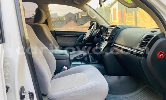 Sayi Na hannu Toyota Land Cruiser White Mota in Cotonou a Benin Sayi Na hannu Toyota Land Cruiser White Mota in Cotonou a Benin