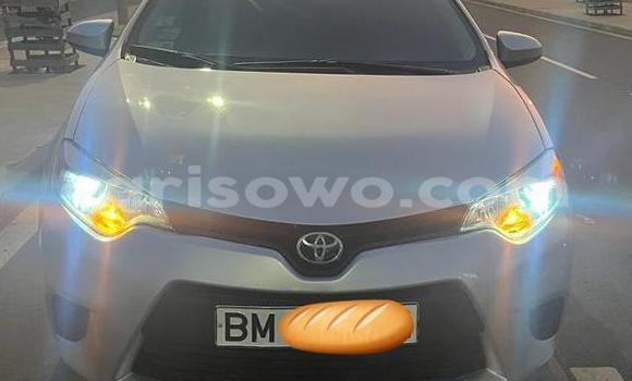 Ra Àlòkù Toyota Corolla Alagara Ọkọ̀ in Cotonou ni Benin Ra Àlòkù Toyota Corolla Alagara Ọkọ̀ in Cotonou ni Benin