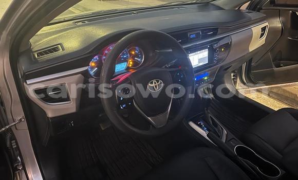 Ra Àlòkù Toyota Corolla Alagara Ọkọ̀ in Cotonou ni Benin Ra Àlòkù Toyota Corolla Alagara Ọkọ̀ in Cotonou ni Benin