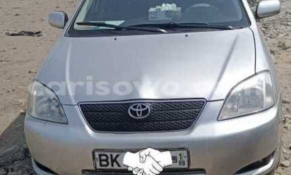 Acheter Occasion Voiture Toyota Corolla Gris à Cotonou, Benin