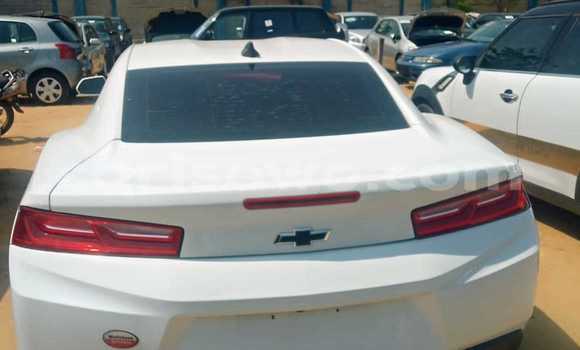 Acheter Occasion Voiture Chevrolet Camaro Blanc à Cotonou, Benin Acheter Occasion Voiture Chevrolet Camaro Blanc à Cotonou, Benin