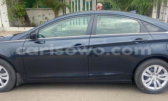 Sayi Na hannu Hyundai Sonata Blue Mota in Cotonou a Benin Sayi Na hannu Hyundai Sonata Blue Mota in Cotonou a Benin