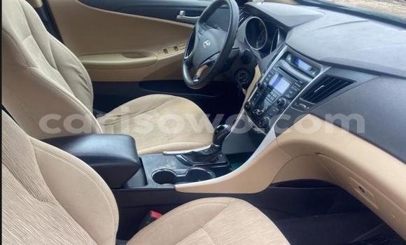 Sayi Na hannu Hyundai Sonata Blue Mota in Cotonou a Benin Sayi Na hannu Hyundai Sonata Blue Mota in Cotonou a Benin