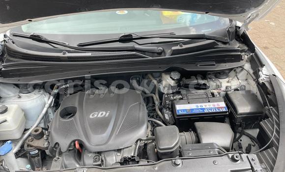 Sayi Na hannu Hyundai Tucson White Mota in Cotonou a Benin Sayi Na hannu Hyundai Tucson White Mota in Cotonou a Benin