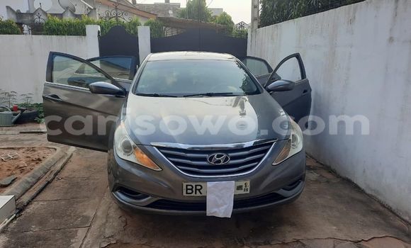 Ra Àlòkù Hyundai Sonata Silver Ọkọ̀ in Cotonou ni Benin