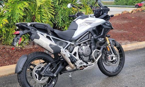 Acheter Occasion Moto Triumph Tiger Noir à Banikoara, Benin Acheter Occasion Moto Triumph Tiger Noir à Banikoara, Benin