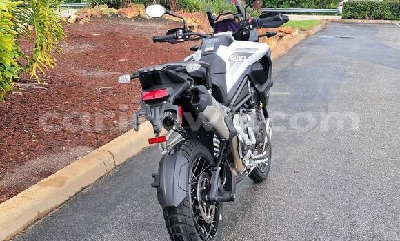 Acheter Occasion Moto Triumph Tiger Noir à Banikoara, Benin Acheter Occasion Moto Triumph Tiger Noir à Banikoara, Benin