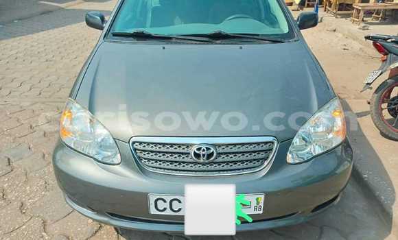Buy Used Toyota Corolla Silver Car in Cotonou in Benign