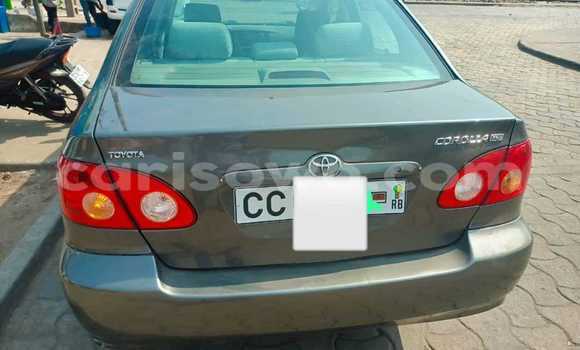 Acheter Occasion Voiture Toyota Corolla Gris à Cotonou, Benin Acheter Occasion Voiture Toyota Corolla Gris à Cotonou, Benin