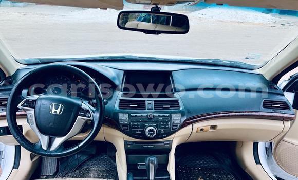 Buy Used Honda Crosstour White Car in Cotonou in Benign Buy Used Honda Crosstour White Car in Cotonou in Benign