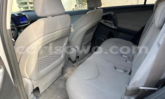 Acheter Occasion Voiture Toyota RAV4 Gris à Cotonou, Benin Acheter Occasion Voiture Toyota RAV4 Gris à Cotonou, Benin
