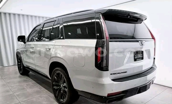 Acheter Import Voiture Cadillac Escalade Blanc à Cotonou, Benin Acheter Import Voiture Cadillac Escalade Blanc à Cotonou, Benin