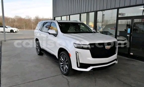 Acheter Import Voiture Cadillac Escalade Blanc à Cotonou, Benin Acheter Import Voiture Cadillac Escalade Blanc à Cotonou, Benin