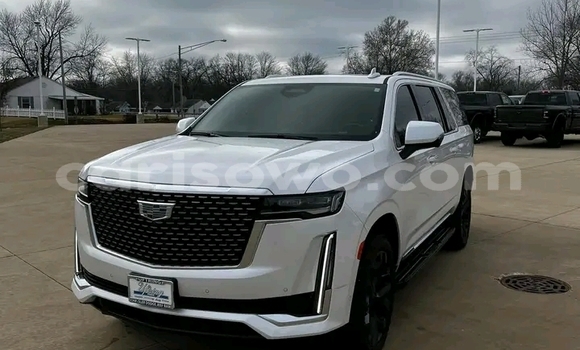 Acheter Import Voiture Cadillac Escalade Blanc à Cotonou, Benin Acheter Import Voiture Cadillac Escalade Blanc à Cotonou, Benin